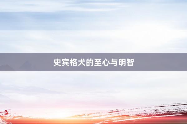 史宾格犬的至心与明智