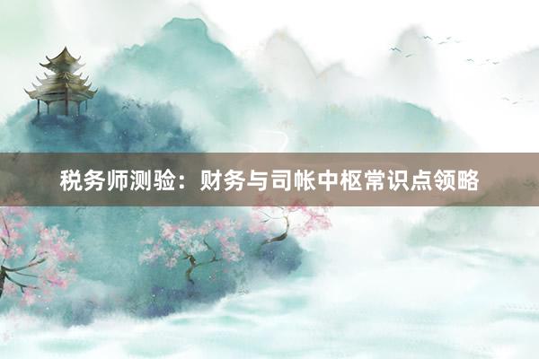 税务师测验：财务与司帐中枢常识点领略